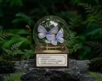 Real Butterfly Glass Dome Display, Purple Gray Hairstreak Specimen, Walnut Wood Base, Natural History Decor, Custom Engraved Gift for Her