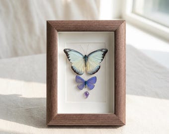 May include: A rectangular wooden frame containing a large pale blue and white butterfly positioned above a smaller vibrant blue butterfly, with a small purple gemstone placed at the bottom, all set against a white background within the frame.