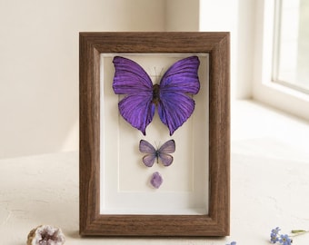 Personalized Purple Butterfly Specimen Frame with Uruguay Amethyst, Handmade Real Butterfly Shadow Box, Nature Wall Decor, Unique Mini Gift