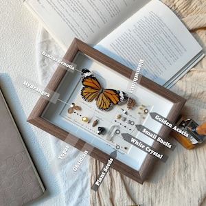May include: A framed display featuring a preserved butterfly, labeled "Danaus Genutia," with various natural elements. The display includes small shells, plant seeds, crystals, and the text "Hydrangea." The frame is brown, and the background is a neutral color.