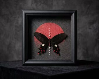 May include: A black framed shadow box containing a dark butterfly specimen centered over a textured red circular background. A vertical line of small white pearls is arranged above and below the butterfly, creating a symmetrical display.