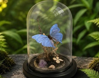 Morpho Butterfly Glass Dome, Handcrafted Crystal Real Insect Specimen Display, Numbered Desk Decor, Nature Lover Gift, 4.72 x 5.91 in