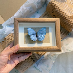 Preserved Butterfly Specimens, Handmade Butterfly Frame with Natural Mineral Powder-Butterfly Frame,Personalized  Butterfly Lover Gift