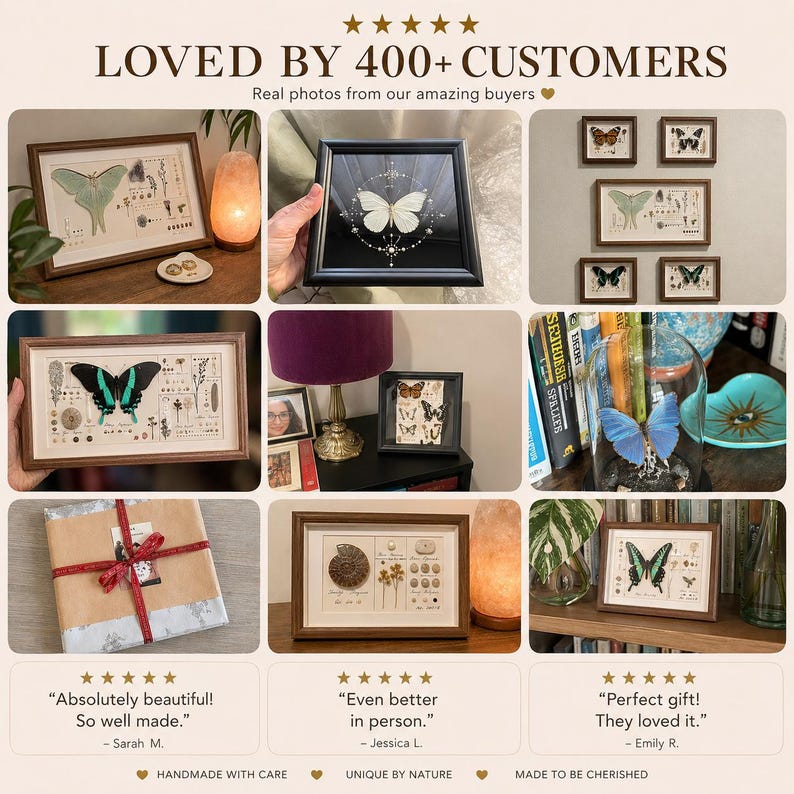 May include: A collection of framed butterfly and insect art pieces. The images feature various butterfly specimens, botanical illustrations, and decorative elements. The frames are in different sizes and styles, showcasing the artwork in a gallery-like presentation.