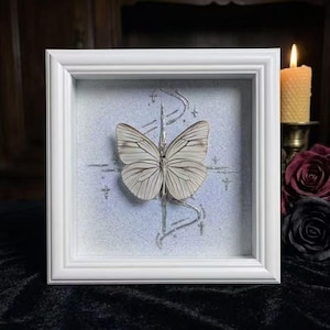 May include: A white square shadow box frame containing a preserved white butterfly with dark veins. The butterfly is mounted against a light, glittery background featuring silver decorative line work and small cross-shaped accents.