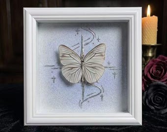 Real Butterfly Shadow Box, Valeria anais White Butterfly Wall Decor, Celestial Silver Blue Specimen Art, Handmade Gothic Nature Lovers Gift