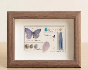 Mini caja expositora con forma de mariposa azul, muestra de mineral de cola de golondrina real, regalo de coleccionista con diseño numerado, decoración para el hogar grabada a medida.