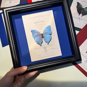 Personalized Butterfly Gift - Custom Engraved Butterfly Keepsake Gift,Preserved Butterfly Specimens, Butterfly Frame, Butterfly Display