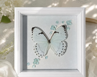 Kent White Morpho Butterfly Frame, Real Specimen Shadow Box, Pearl Floral Wall Art, Handmade Wedding Gift, Nature Decor, Romantic keepsake