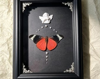 Real Butterfly Frame Decor, Red Butterfly Shadow Box, Minimalist Insect Wall Art, Gothic Nature Frame, Cottagecore Room Decor, Handmade Gift