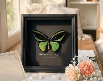 Personalized Butterfly Shadow Box Frame, Real Specimen Wall Art, Mother’s Day Idea, Custom Color Available, Thoughtful Gift for Mom Her