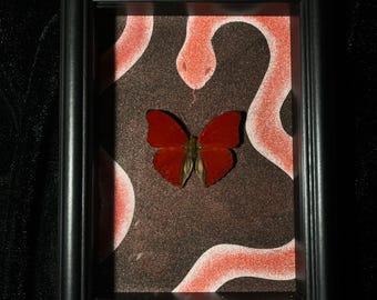 Serpent & Scarlet — Real Butterfly Shadowbox | Blood Ripple Butterfly Art | Gothic Sand Painting Decor