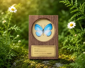 Imán de mariposa personalizado y mini placa de exhibición, decoración personalizada con especímenes de la naturaleza, imán de nevera de mariposa, regalo con temática de bosque, adorno de escritorio