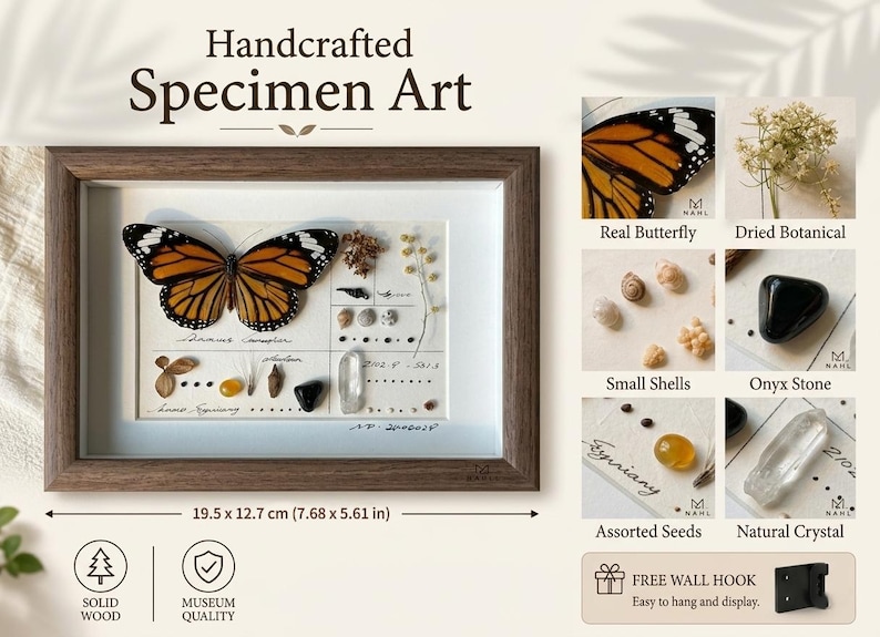 May include: Handcrafted specimen art in a wooden frame, featuring a monarch butterfly, dried botanicals, small shells, onyx stone, assorted seeds, and a natural crystal. The framed art measures 7.68 x 5.61 inches.