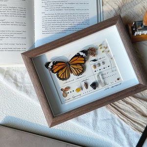 May include: A framed display featuring a Monarch butterfly with orange and black wings, alongside dried botanicals and small stones. The frame is brown, and the display includes handwritten text and numbers.
