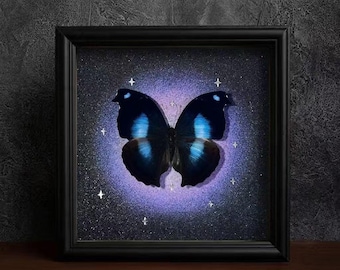 Pode incluir: Um quadro decorativo com uma borboleta azul-escura e preta centrada num fundo brilhante roxo e preto. A borboleta está rodeada por pequenas estrelas brancas de quatro pontas dispostas num padrão circular dentro da moldura.