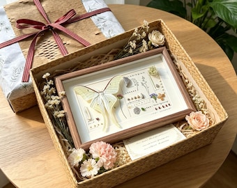 Giant Luna Moth Butterfly Specimen Frame, Handcrafted Luxury Real Butterfly Wall Art, Personalized Mother's Day Decor, Gift Made with Love