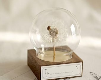 Personalized Dandelion Ladybug Glass Globe, Real Insect Micro Landscape, Walnut Wood Mini Nature Decor, Handmade Wish Birthday Gift