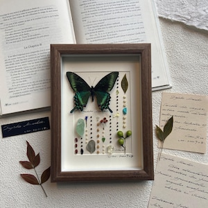 Nature Gift for Her – Real Butterfly Frame • Handcrafted Specimen Art • Elegant Home Wall Decor