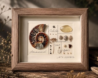 Luxury Fossil Gift – Real Biotic Fossil Framed Art • Custom Engraved Nature Keepsake
