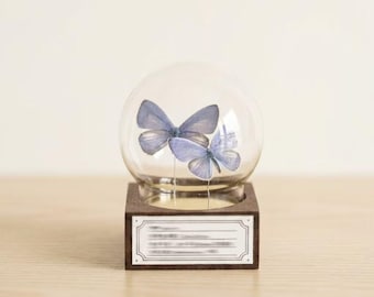 Real Butterfly Glass Dome Display, Purple Gray Hairstreak Specimen, Walnut Wood Base, Natural History Decor, Custom Engraved Gift for Her