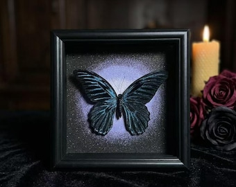 Papilio Butterfly Specimen, Gothic Iridescent Black Insect Shadow Box, Hand Painted Moonlight Art Frame, Dark Academia Decor, Collector Gift