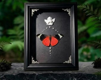 Marco decorativo con mariposas reales, caja de sombra con mariposas rojas, arte mural minimalista de insectos, marco gótico de naturaleza, decoración de habitaciones estilo cottagecore, regalo hecho a mano