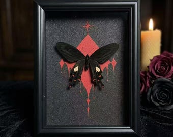Swallowtail Butterfly Frame, Gothic Red Black Shadow Box, Byasa Alcinous, Real Specimen Art, Hand-Painted Dark Academia Wall Decor Gift