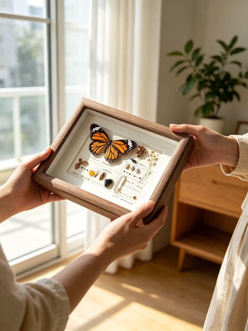 May include: A framed display featuring a butterfly with orange and black wings, set against a white background. The wooden frame surrounds the butterfly and other natural elements, including small stones and dried plants. The display is held by two hands.