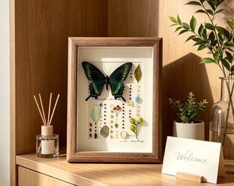 Personalized Butterfly Frame Decor, Happy Mother’s Day, Real Swallowtail Specimen Shadow Box with Plants & Minerals, Gift for Mom/Grandmom
