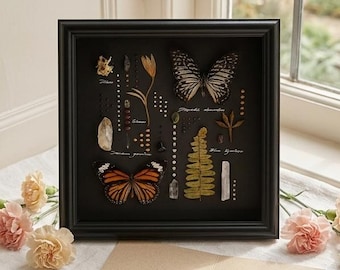 Real Butterfly Frame Art for Mom, Monarch Specimen Shadow Box, Personalized Mother’s Day Gift, Nature Wall Decor, Handmade with Love for Her
