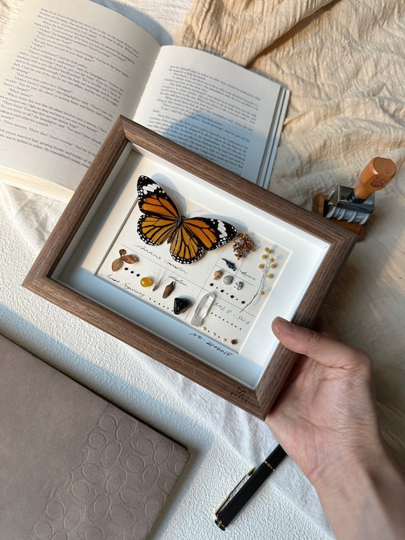 Personalized Monarch Butterfly Gift, Custom Engraved Frame, Real Specimen Art, Memorial Nature Decor for Her