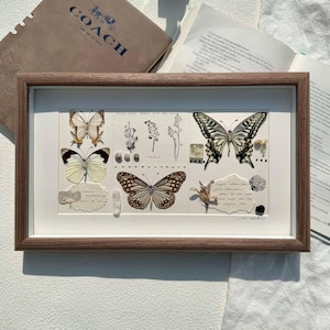 Gepersonaliseerde echte ingelijste vlinder, vlinderdisplay, echte vlinder, taxidermie vlinder, decoratie vlinder, vlindercadeau voor minnaar