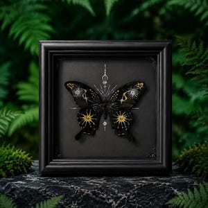 May include: A black butterfly specimen mounted in a square black frame. The wings feature intricate gold and silver celestial designs, including suns, moons, and starburst patterns. The butterfly is centred against a solid black background.