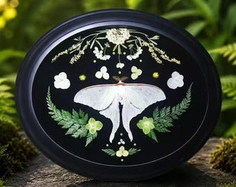 Real Luna Moth Oval Frame, Pressed Flower Botanical Wall Art, Black 10 Inch Natural History Decor, Cottagecore Collector Gift, Framed Insect