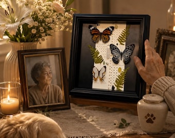 Personalized Butterfly Memorial Frame, Real Butterfly Keepsake Gift, Pet Loss Remembrance, Unique Sympathy Gift, Eternal Memory Shadow Box
