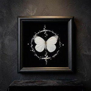 May include: A framed wall art piece featuring a white butterfly with silver-tipped wings centred within a circular arrangement of white pearls and small silver beads on a black velvet background, enclosed in a square black wooden frame.