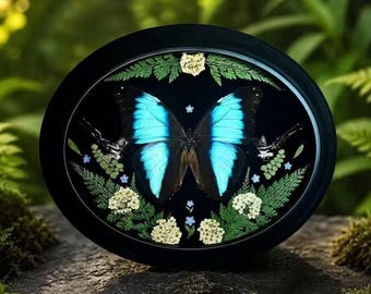 Blue Morpho & Swallowtail Frame, Real Butterfly Pressed Flower Art, 10 Inch Oval Botanical Wall Decor, Collector Gift, Museum Style Display