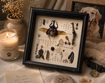 Pet Memorial Shadow Box, Dog Loss Sympathy, Cat Remembrance Decor, Natural Memorial Frame, Rainbow Bridge Gift, Pet Owners Loss Keepsake