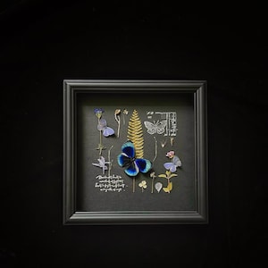 Emperor Butterfly Frame, Butterfly Display, Framed Butterfly Decor, Real Butterfly ,Preserved Butterfly Specimens, Butterfly Lover Gift