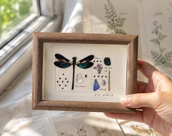 Personalized Dragonfly Specimen Gift • Real Dragonfly Frame • Custom Name Engraved Nature Art for Him or Her