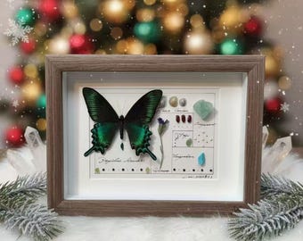 Regalo de Navidad para ella y para él / Arte de mariposa hecho a mano de 5,71 x 7,68 / Decoración festiva de pared