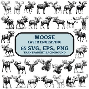 Puede incluir: Una colección de ilustraciones de alces en blanco y negro en varias poses, incluyendo perfiles de cuerpo completo y retratos de cabeza. El texto central dice: MOOSE LASER ENGRAVING 65 SVG, EPS, PNG TRANSPARENT BACKGROUND. Son archivos gráficos digitales.
