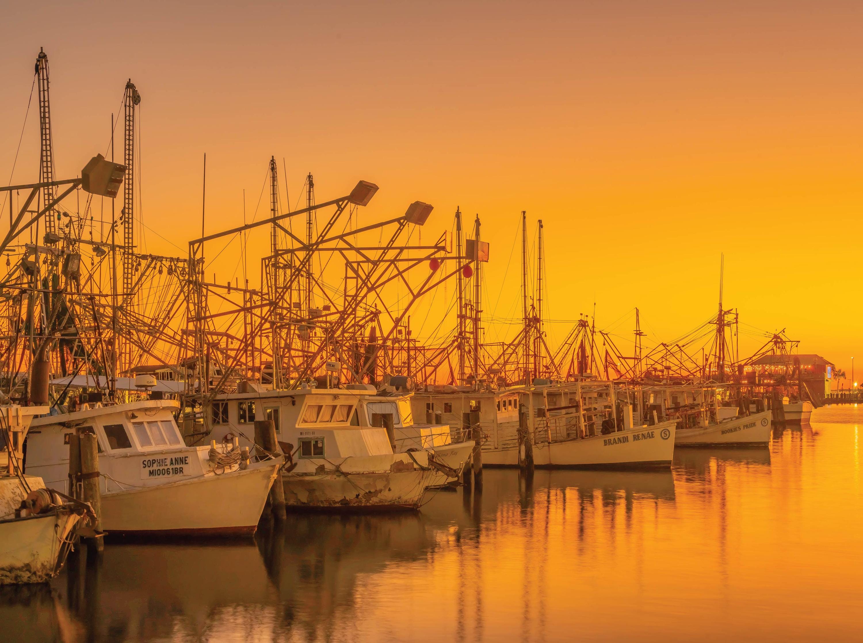 The Shrimp Boats - 1000 Piece Jigsaw Puzzle - MI Puzzles by Phil Stagg ...
