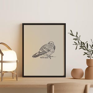 Ständiger Bewohner | NYC Taube | New York City Taube Linie Zeichnung | Vogel Kunst | Herunterladbarer Druck