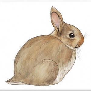 Rabbit art, ink and watercolour art of a cute rabbit | bunny art | cute art | animal art | British wildlife art