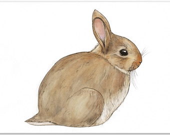 Rabbit art, ink and watercolour art of a cute rabbit | bunny art | cute art | animal art | British wildlife art