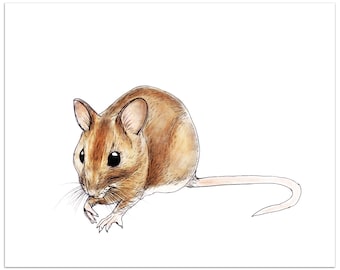 Impression d'art en bois de souris, encre réaliste et art de style aquarelle d'une souris mignonne | art animalier | Art écossais