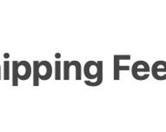 Re-Shipping Fee Only