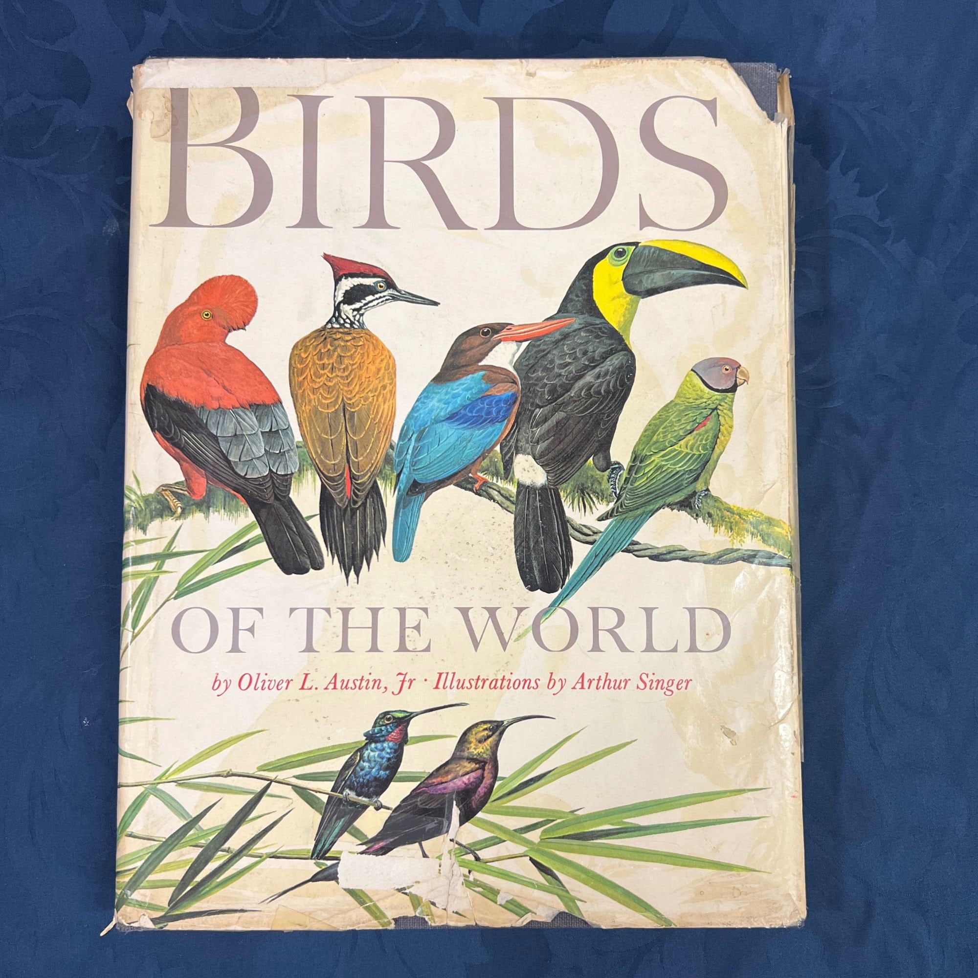 Birds of the World by Austin, Arthur Singer 1961 Edition, Birds